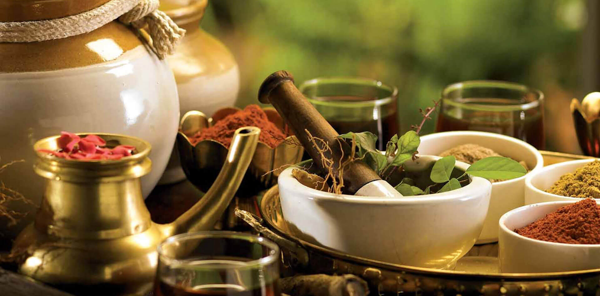 ayushya-ayurvedic-panchakarma-centre